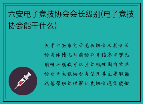 六安电子竞技协会会长级别(电子竞技协会能干什么)